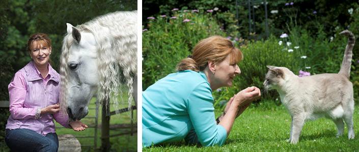 Healing for Horses Margrit Coates Healing Horses